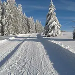 Schoene Aussicht * Todtnau