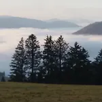 Schoene Aussicht Todtnau