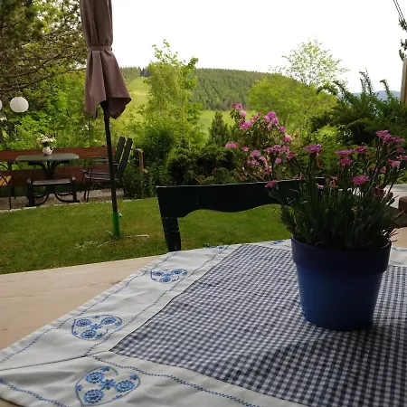 Schoene Aussicht Apartamento Todtnau