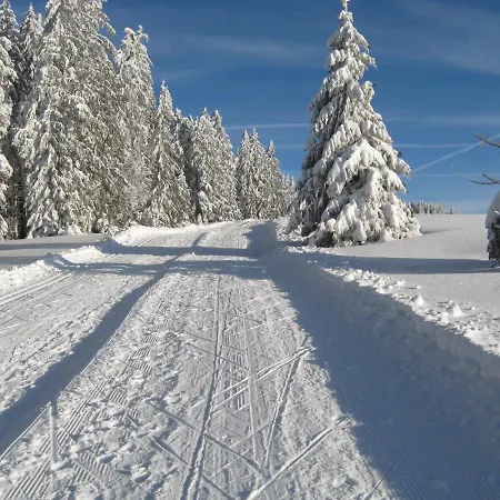 Schoene Aussicht * Тодтнау