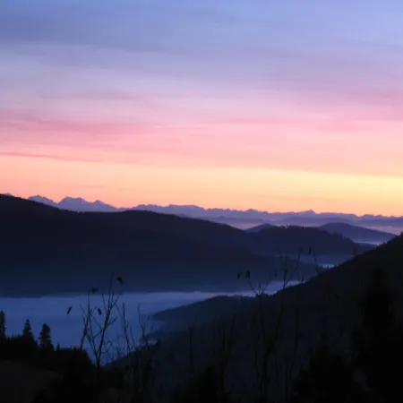 Schoene Aussicht * Todtnau