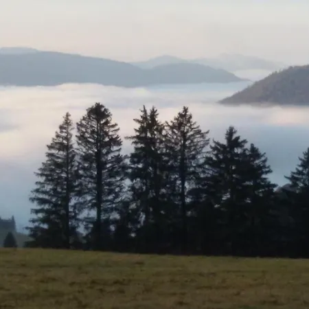 Schoene Aussicht Todtnau