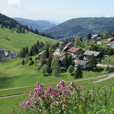 Апартаменты Schoene Aussicht