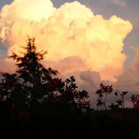 Schoene Aussicht Apartamento *