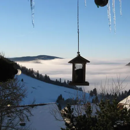 Schoene Aussicht * Тодтнау