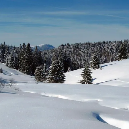 Schoene Aussicht Appartement