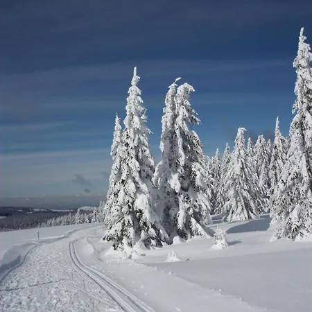 Апартаменты Schoene Aussicht Тодтнау
