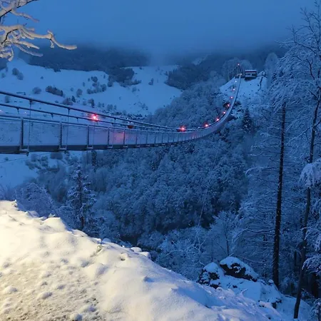 Apartamento Schoene Aussicht Todtnau