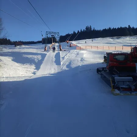 Schoene Aussicht * Todtnau
