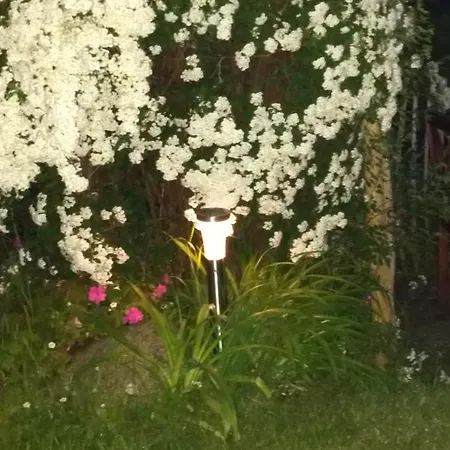 Апартаменты Schoene Aussicht *