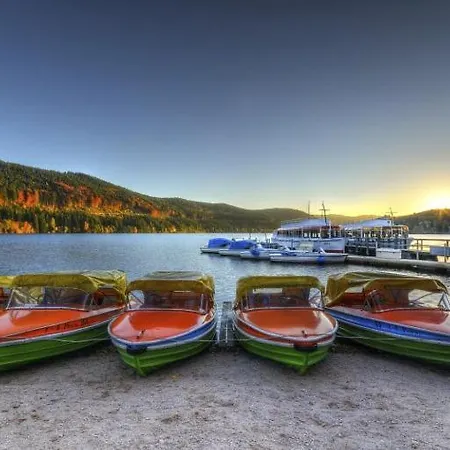Schoene Aussicht Apartamento Todtnau
