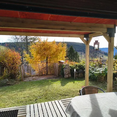 Appartement Schoene Aussicht Todtnau