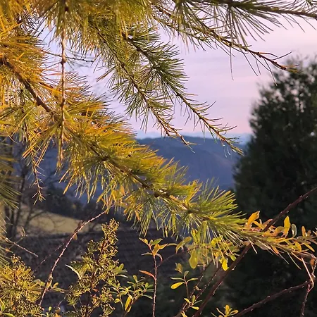 Schoene Aussicht Апартаменты