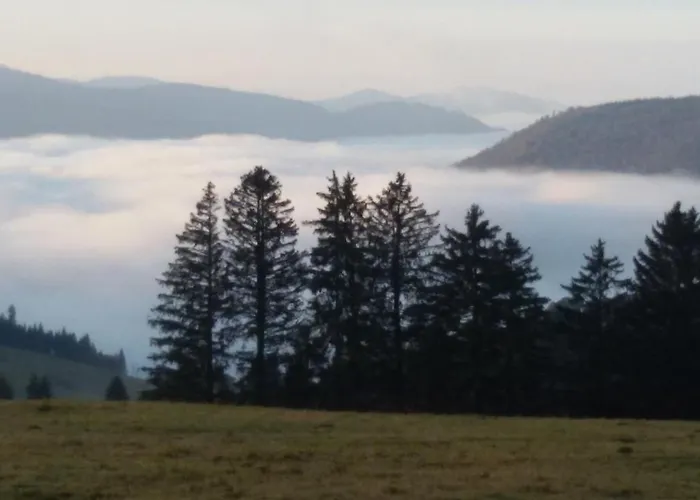 Schoene Aussicht Todtnau
