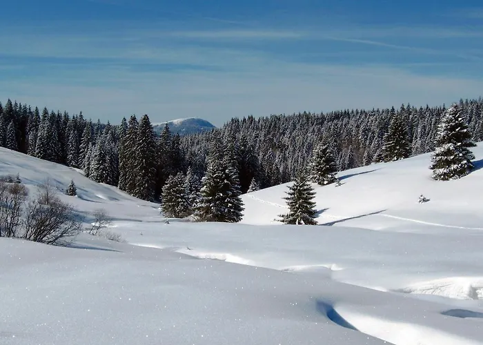Schoene Aussicht Lägenhet