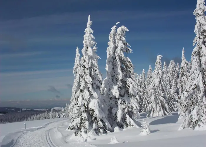 Appartamento Schoene Aussicht Todtnau